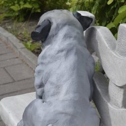 Mopsi koirapatsas, kuvattu takaa