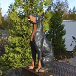 Dobermann Istumassa koirapatsas, kuvattu läheltä