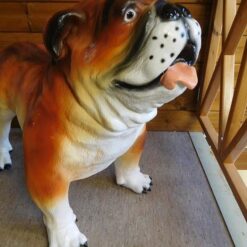 Koirapatsas, Englannin Bulldoggipatsas, kuvattu läheltä