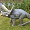 dinosauruspatsas, Triceratops poikanen