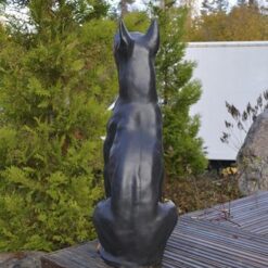 Dobermann Istumassa koirapatsas, kuvattu takaapäin