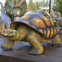 Kilpikonnapatsas, isokokoinen