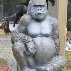 Gorillapatsas, kuvattu edestä