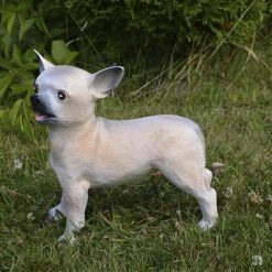 Chihuahua koirapatsas, kuvattu sivulta