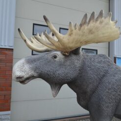 Hirvipatsas, aidon kokoinen