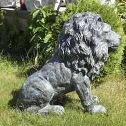 Leijonapatsas, tumma, kuvattu sivulta