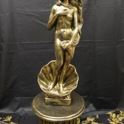 Venuspatsas, edestä