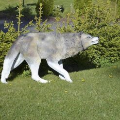 Susipatsas, isokokoinen, kuvattu metsässä