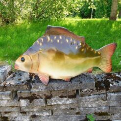 Kalapatsas, kuvattuna sivusuunnasta