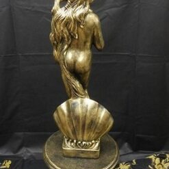 Venuspatsas, takaapäin