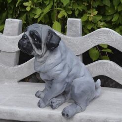 Mopsi koirapatsas, istuu penkillä