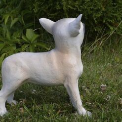 Chihuahua koirapatsas