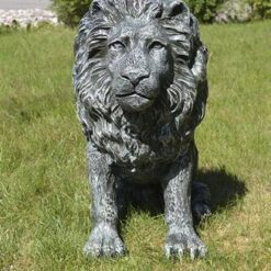 Leijonapatsas, tumma, kuvattu edestä