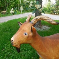 Vuohipatsas, ruskeanvärinen ja kuvattu sivusta