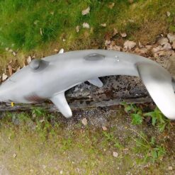 Haipatsas, ylhäältä