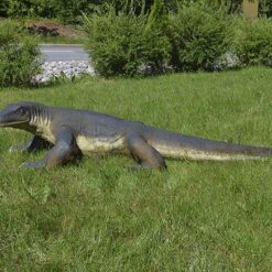 Liskopatsas, kuvattu sivulta