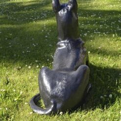 Tanskandoggi koirapatsas, kuvattu takaa