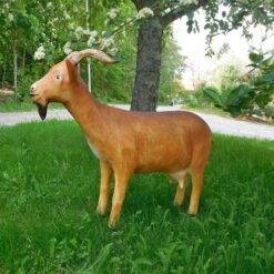 Vuohipatsas, ruskeanvärinen ja kuvattu sivusta, pihalla