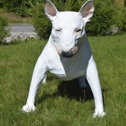 Bullterrieri koirapatsas, edestä