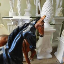 Hevospatsas, musta hevonen