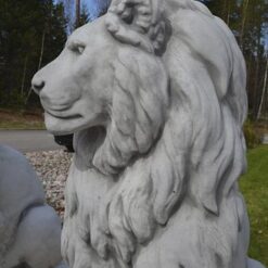 Leijonapatsaat, Betonipatsaat, kuvattu läheltä