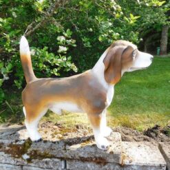 Beagle koirapatsas, kuvattu sivulta