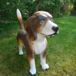 Beagle koirapatsas, kuvattu edestä