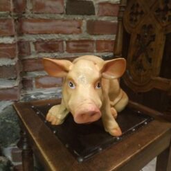 Possupatsas, kurkkimassa