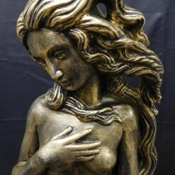 Venus patsas, kuvattu läheltä
