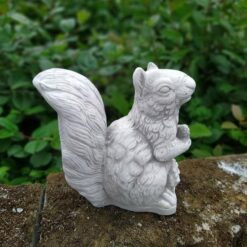 Oravapatsas, betonia, kuvattu sivusta