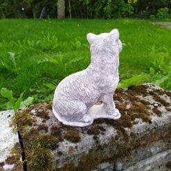 Kissapatsas, kaunis betonipatsas, kuvattu takaa