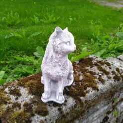 Kissapatsas, kaunis betonipatsas, kuvattu edestä