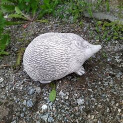 Siilipatsas, betonia, kuvattu sivulta