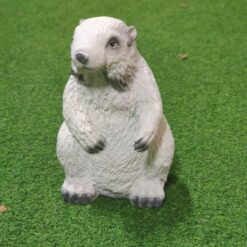 Murmelipatsas, valkoinen, kuvattu edestä