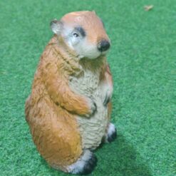 Murmelipatsas, ruskea