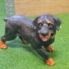 Rottweiler koirapatsas, pieni