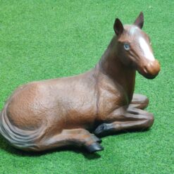 Hevospatsas, makaava varsa